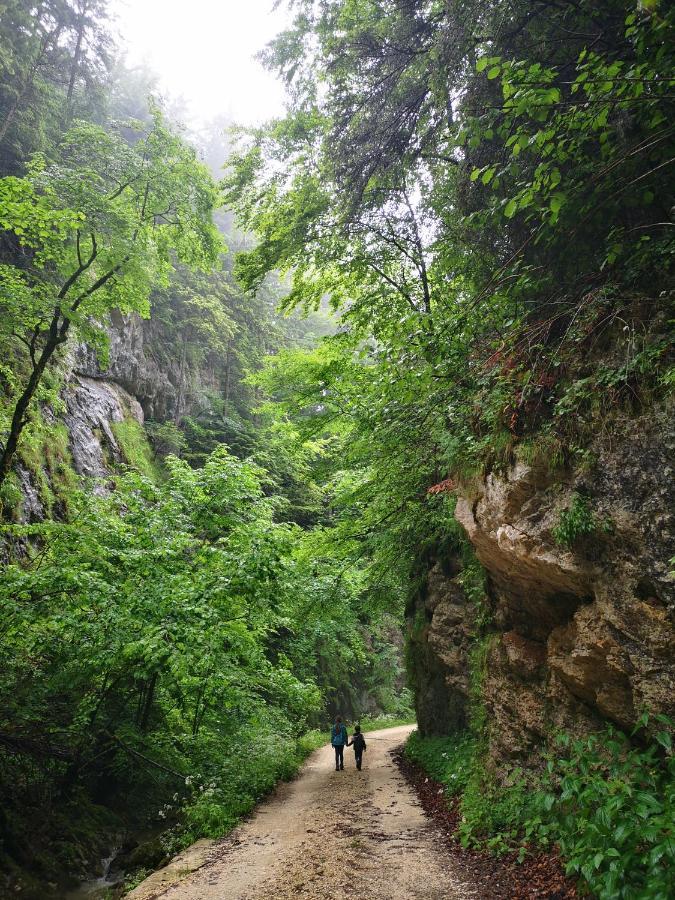 Mountain Lodge Rîşnov Екстериор снимка