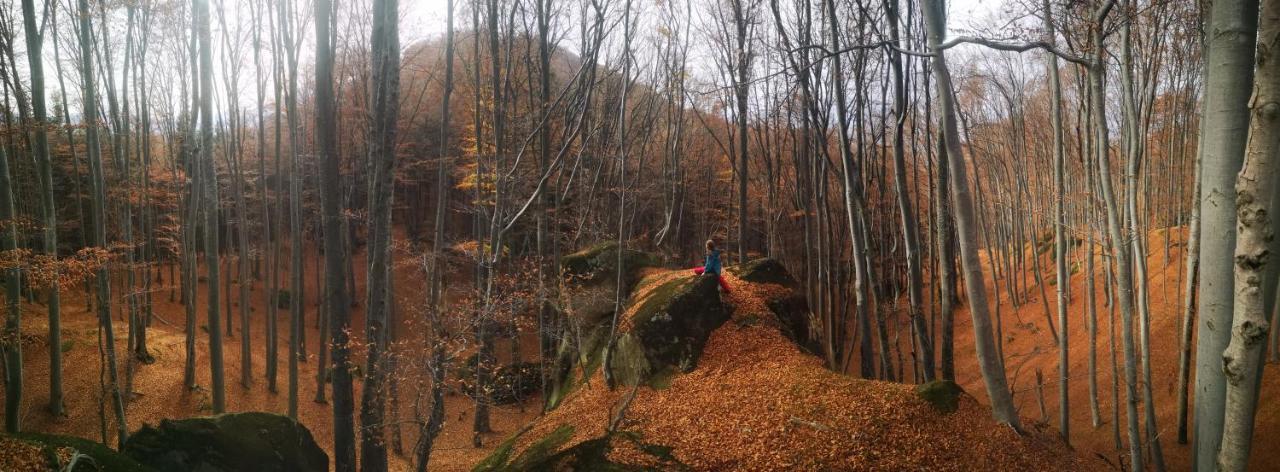 Mountain Lodge Rîşnov Екстериор снимка