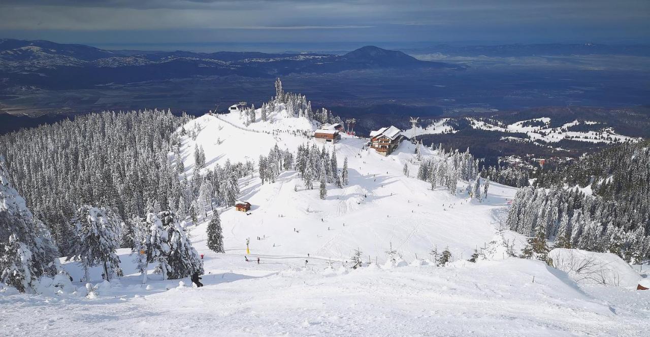 Mountain Lodge Rîşnov Екстериор снимка