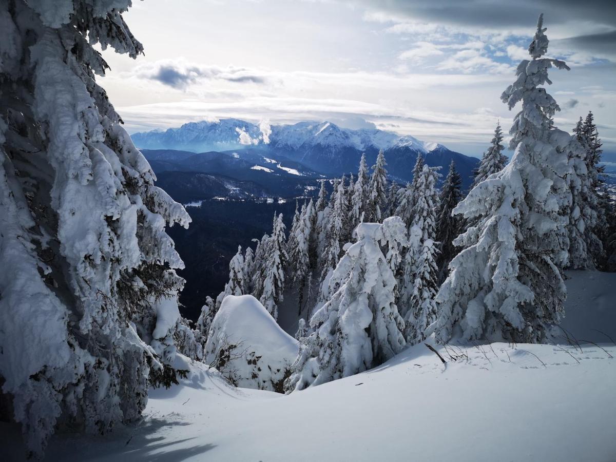 Mountain Lodge Rîşnov Екстериор снимка