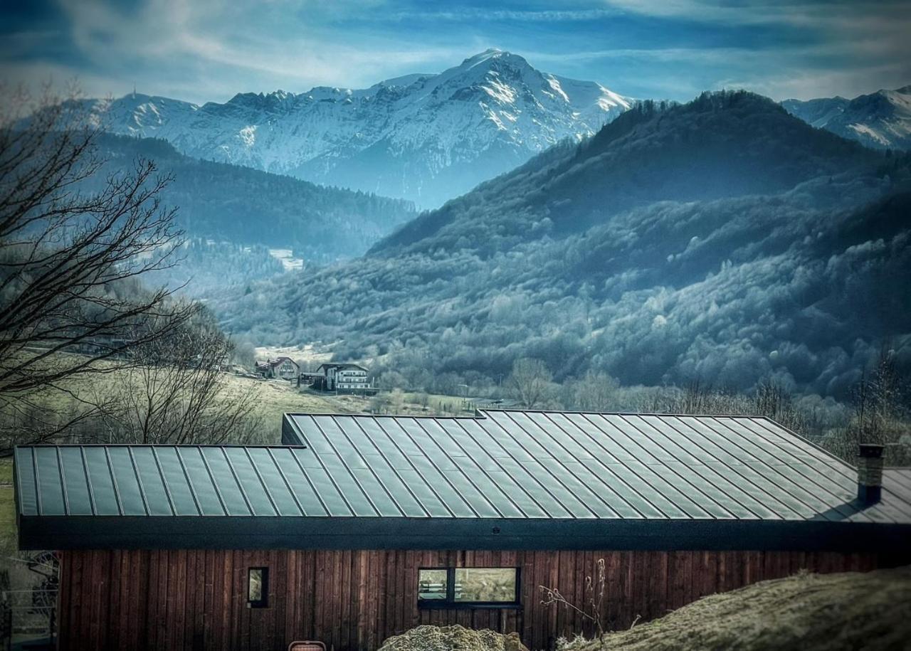 Mountain Lodge Rîşnov Екстериор снимка